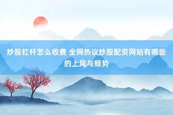 炒股杠杆怎么收费 全网热议炒股配资网站有哪些的上风与颓势