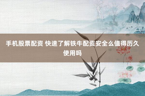 手机股票配资 快速了解铁牛配资安全么值得历久使用吗