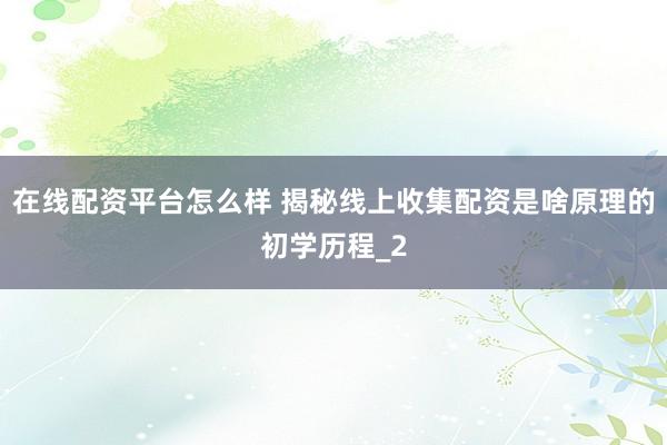 在线配资平台怎么样 揭秘线上收集配资是啥原理的初学历程_2