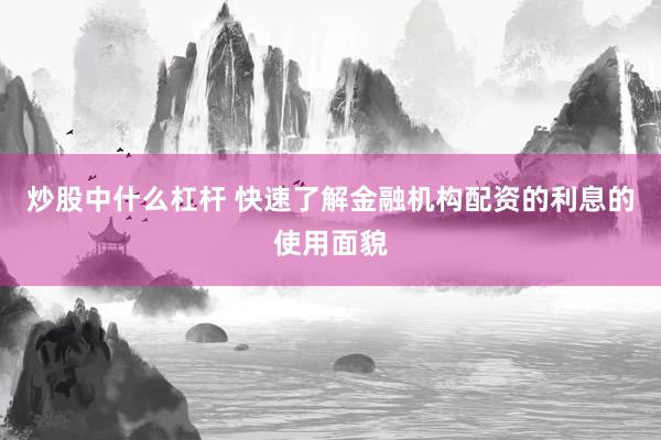 炒股中什么杠杆 快速了解金融机构配资的利息的使用面貌